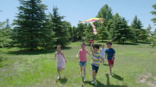 快乐儿童在草地玩风筝视频素材