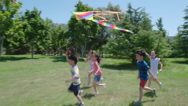 快乐儿童在草地玩风筝视频素材