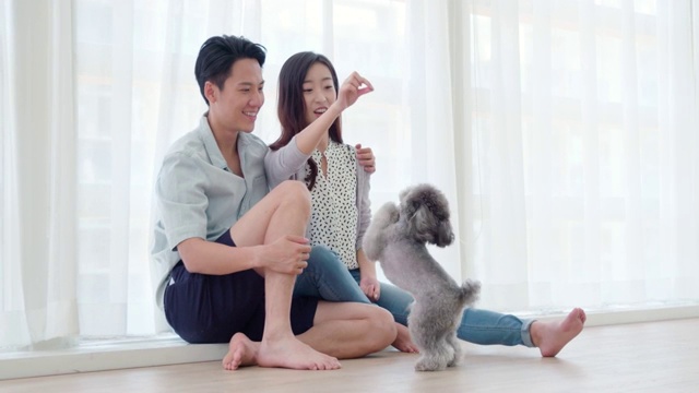 快樂年輕情侶在家和狗玩耍視頻素材