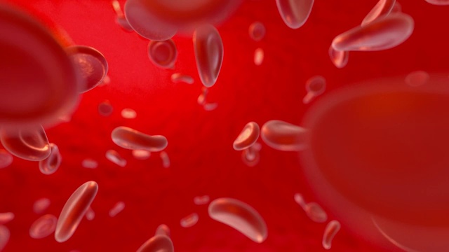 血液中的血细胞视频素材