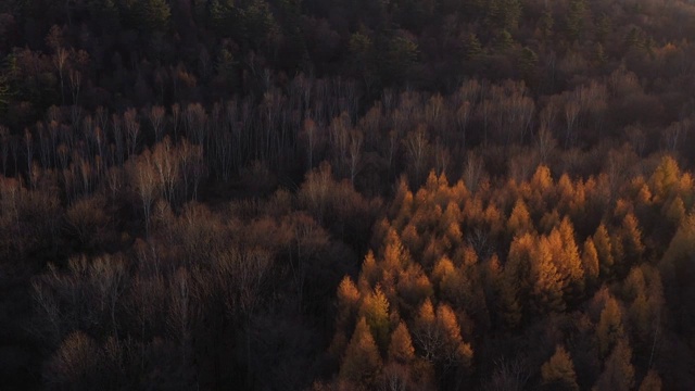 吉林通化：長白山深處秋色視頻素材