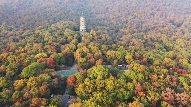 秋意濃濃的南京靈谷寺景區全景視頻素材