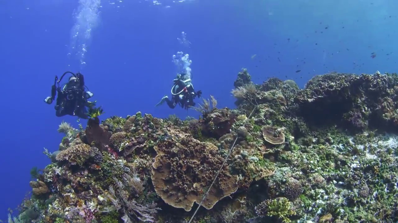 水下攝影潛水員探索神奇的海底世界視頻素材