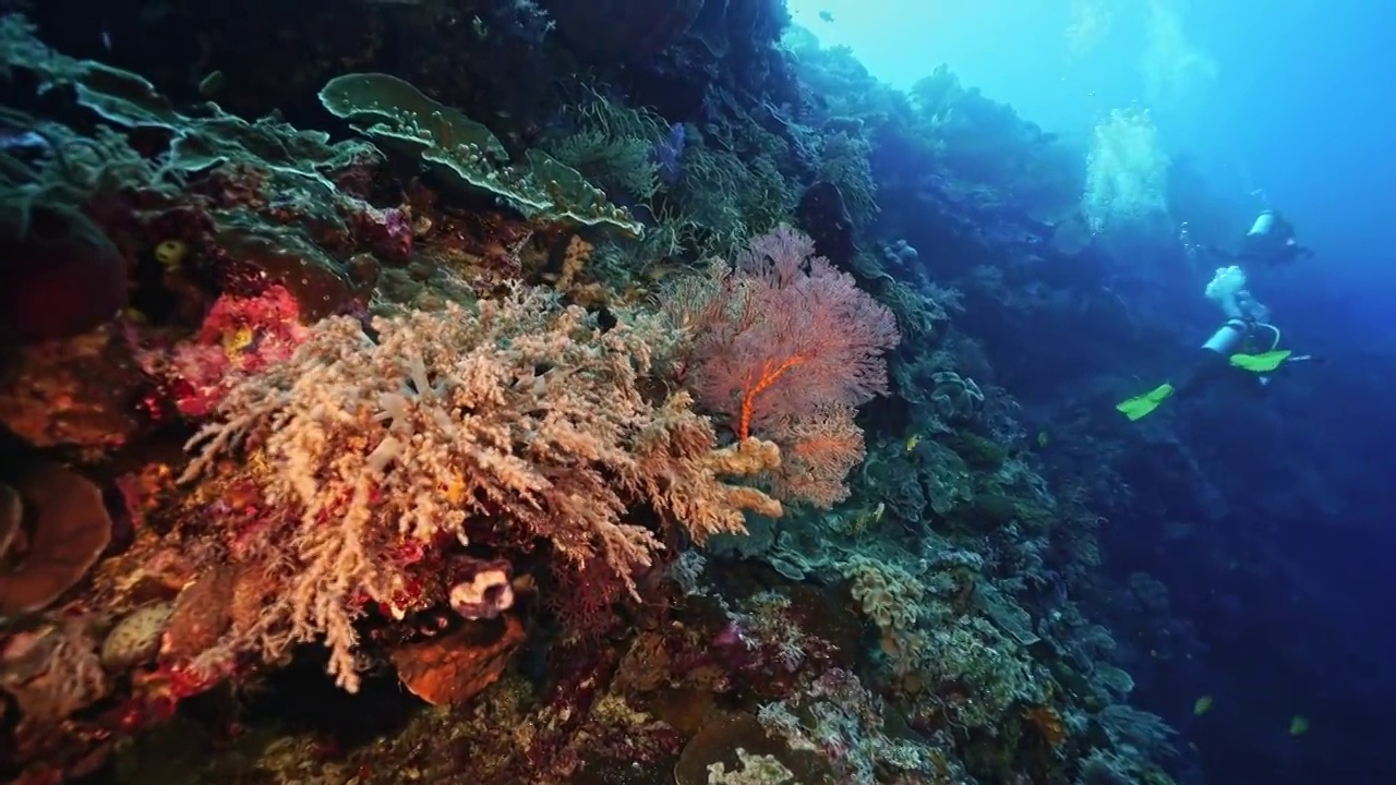 水下攝影潛水員海底水下探索視頻素材