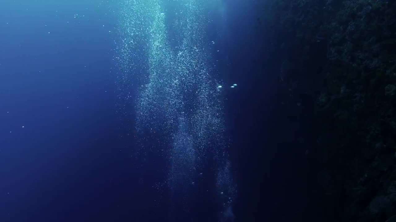 水下攝影潛水員升騰的氣泡視頻素材
