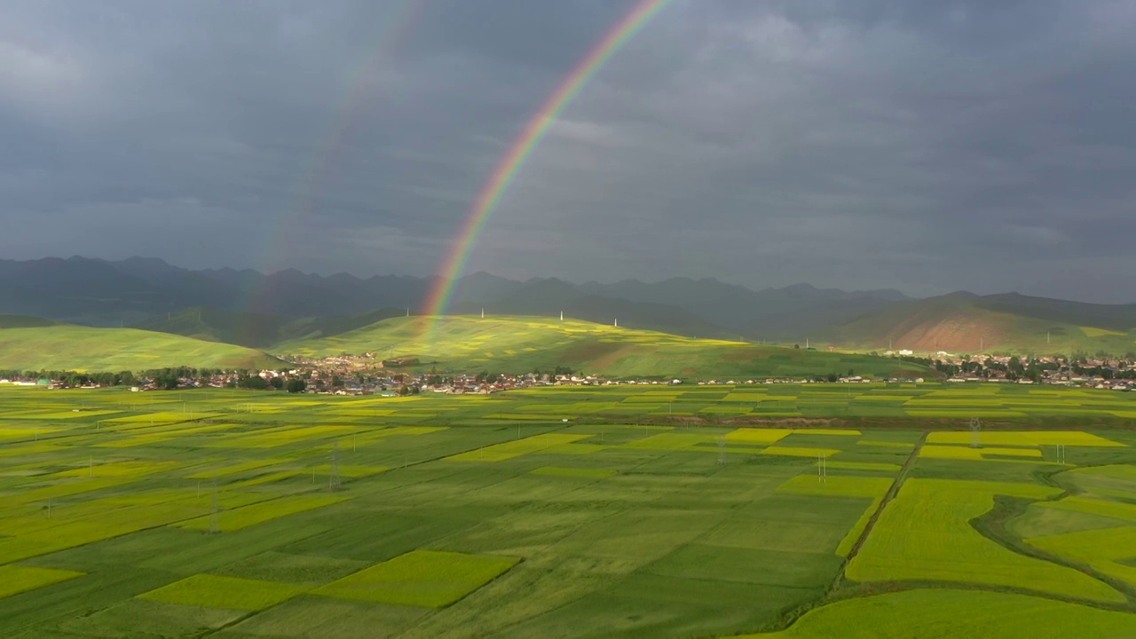油菜花海，青海省門源縣的萬畝油菜花，雨后的彩虹更加美麗視頻素材