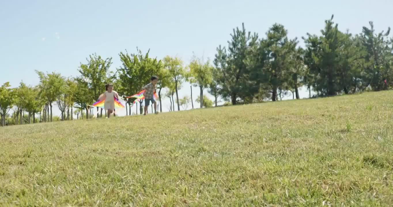 快乐的孩子们在草地上放风筝视频下载