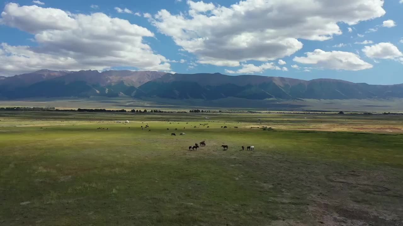 中国新疆哈密市巴里坤湖泊湿地草原风光航拍视频购买