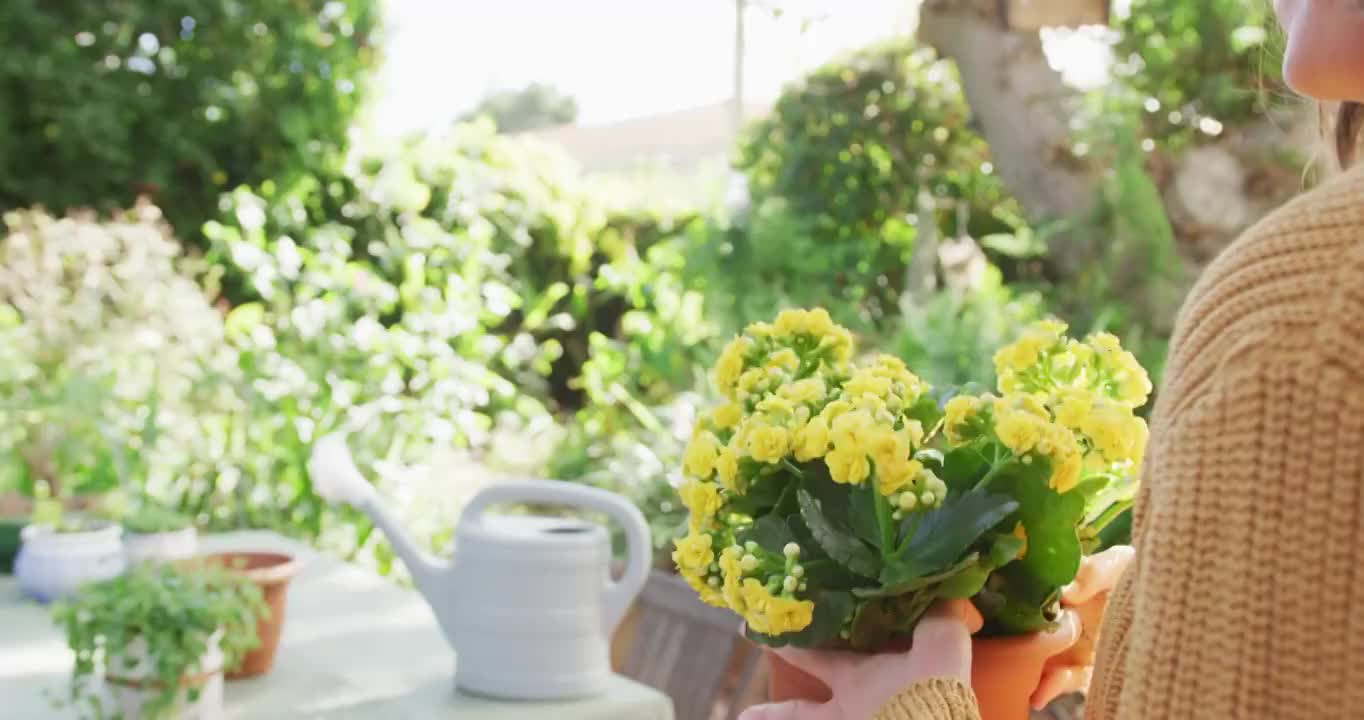 微笑的白人妇女在阳光明媚的花园里重新种植黄花视频素材