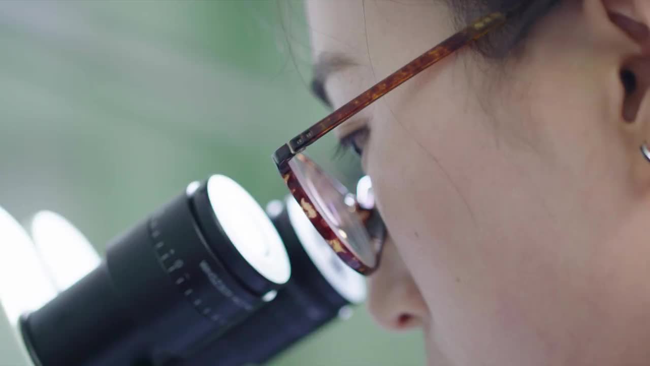 化驗室生物細胞培養實驗視頻素材