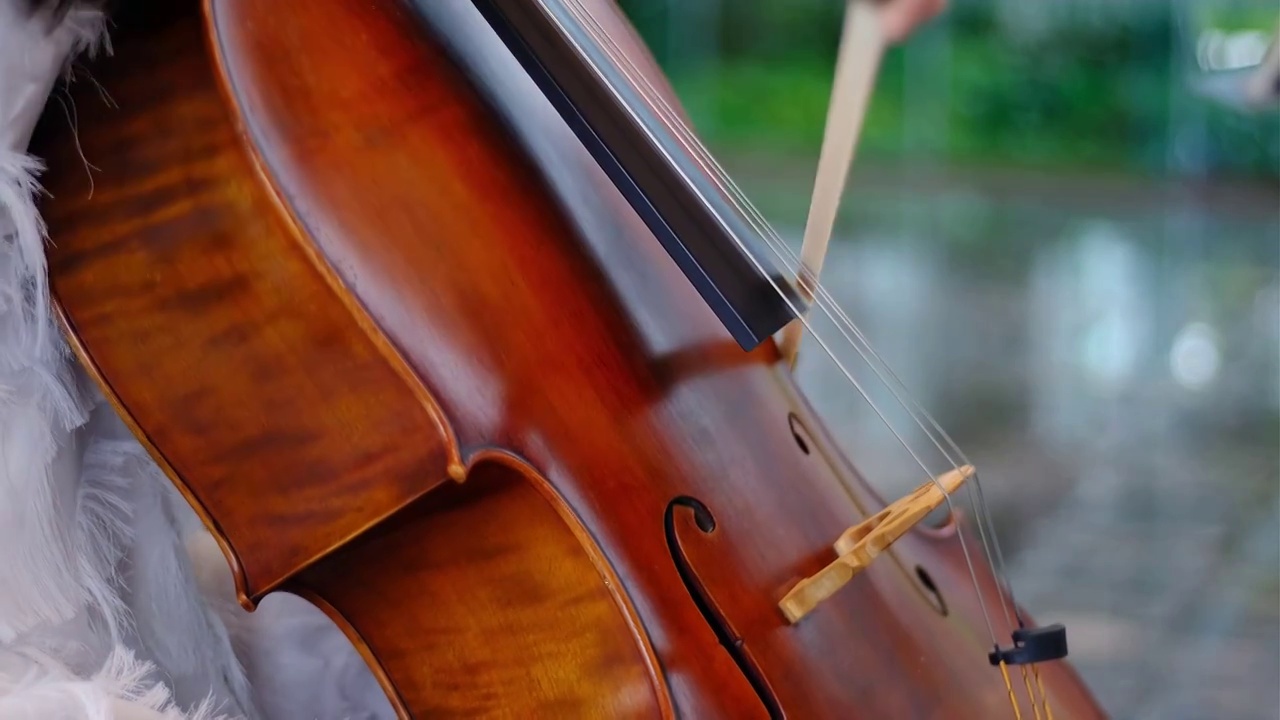 四川省绵阳市室内表演，音乐，乐器，大提琴视频素材