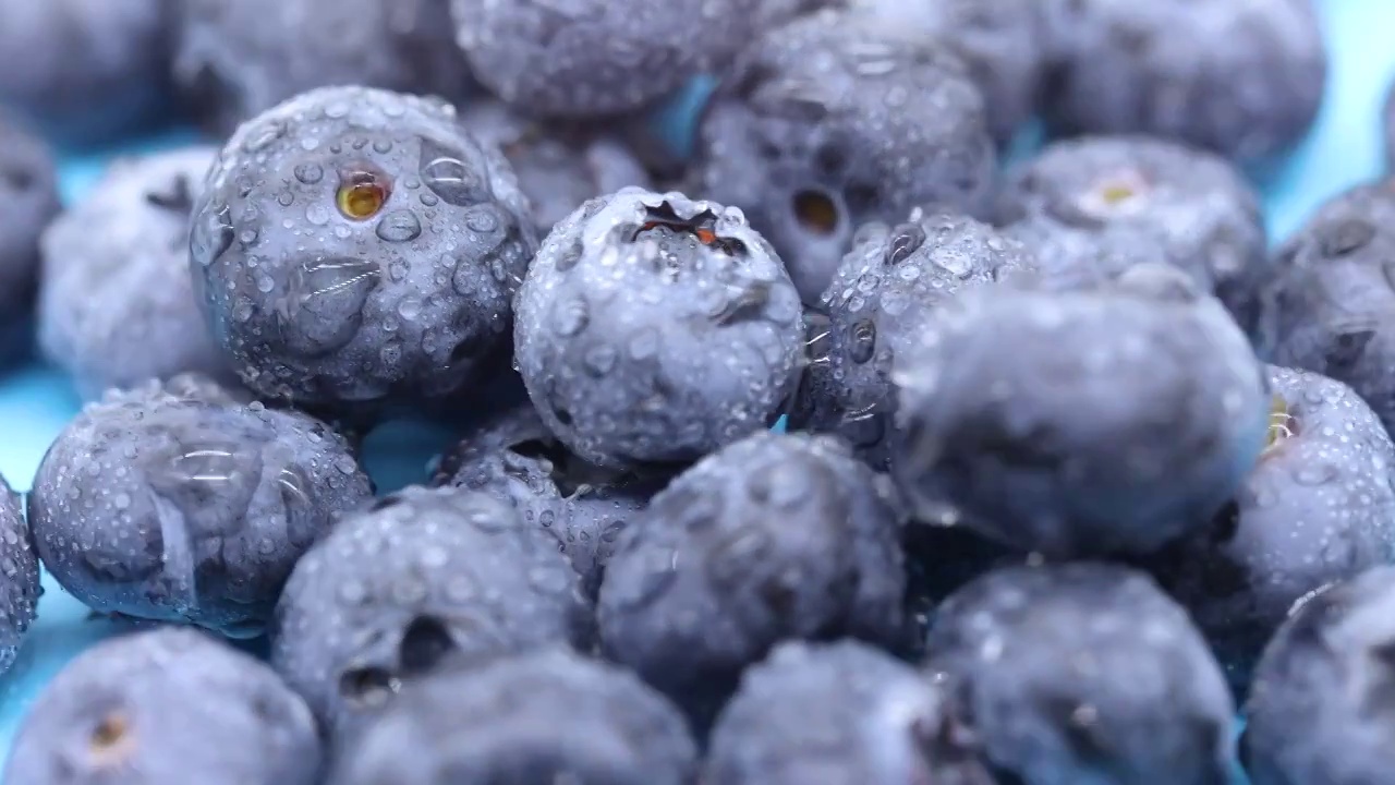 新鲜蓝莓与水珠特写视频素材