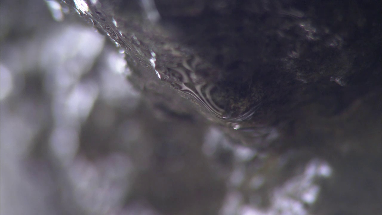 湖北十堰武當山南巖宮懸崖崖石上滴落的水滴固定機位視頻素材