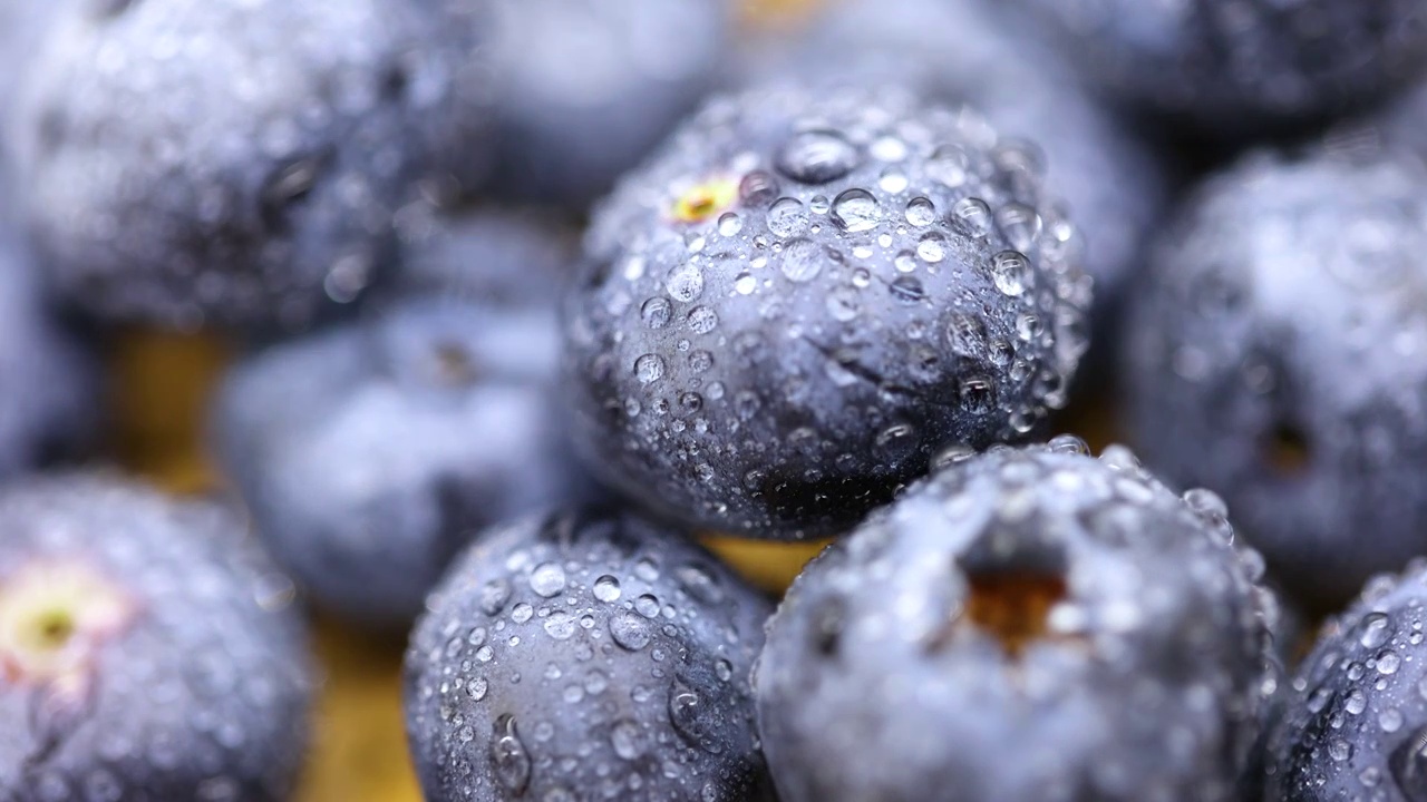 健康果蔬：蓝莓果视频下载