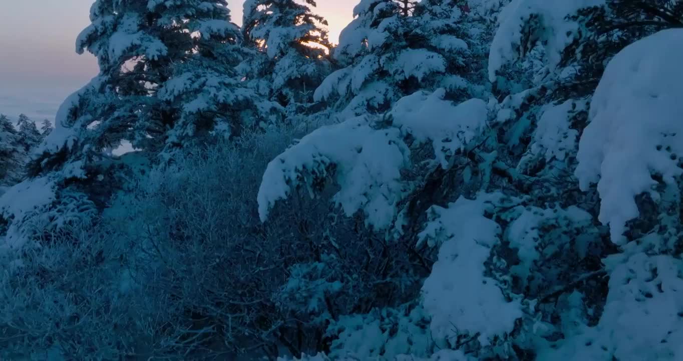 金頂日出航拍峨眉山冬季雪景視頻素材