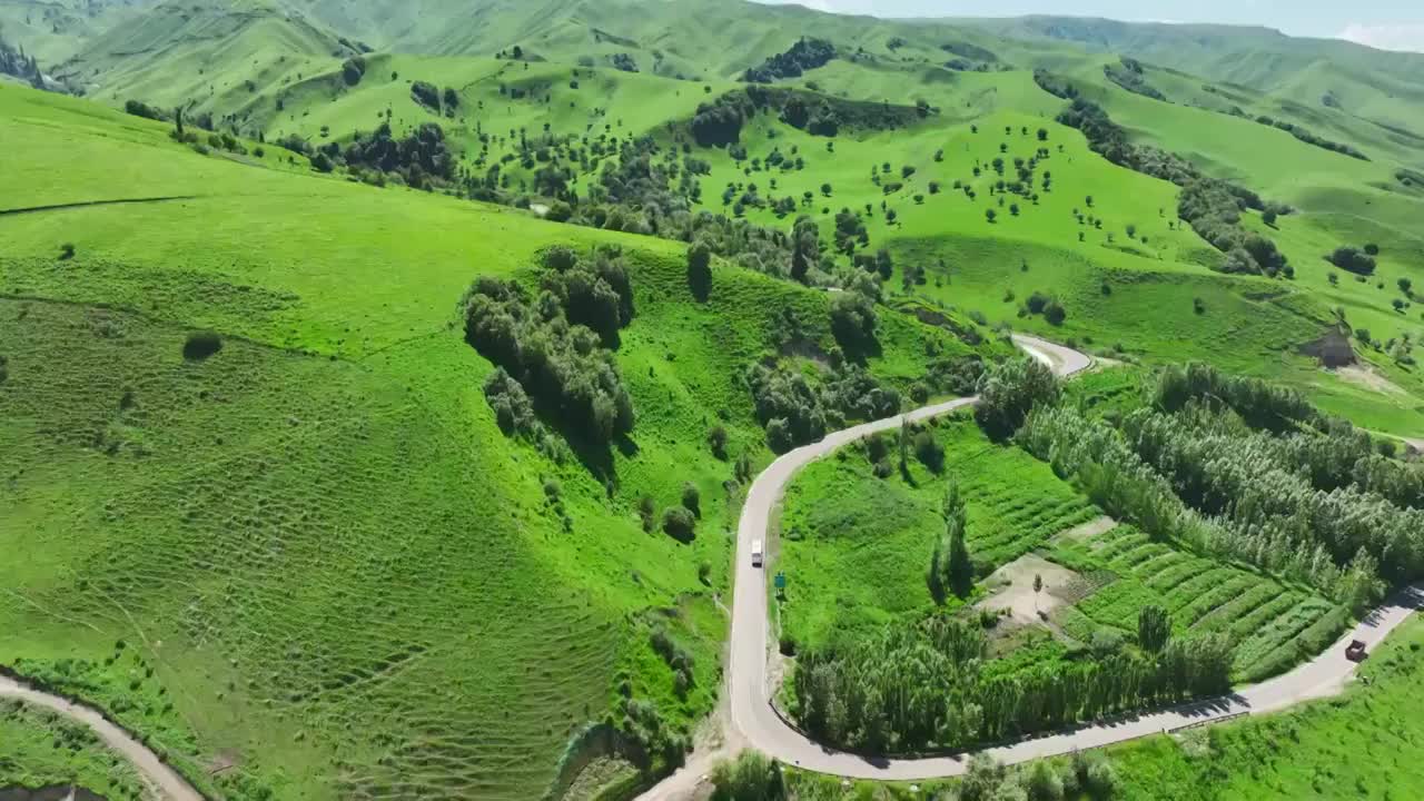 航拍新疆草原森林美景風景視頻素材