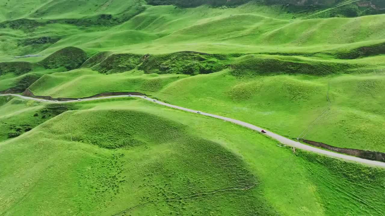 航拍新疆草原森林美景風景視頻素材