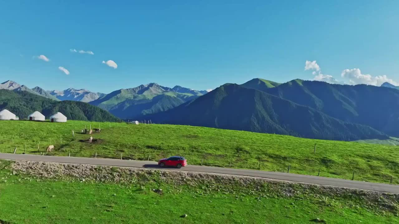 航拍新疆伊犁草原天然牧場羊群視頻素材