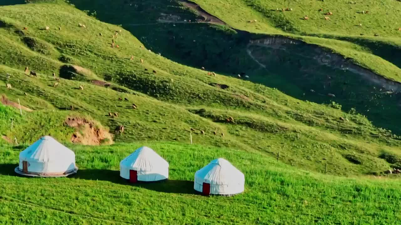 航拍新疆伊犁草原天然牧場羊群視頻素材