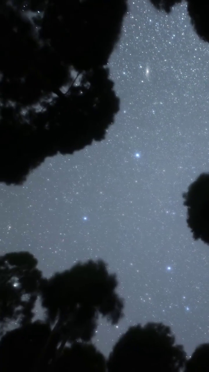 星空延时：江西明月山星光在树丛中移动视频下载