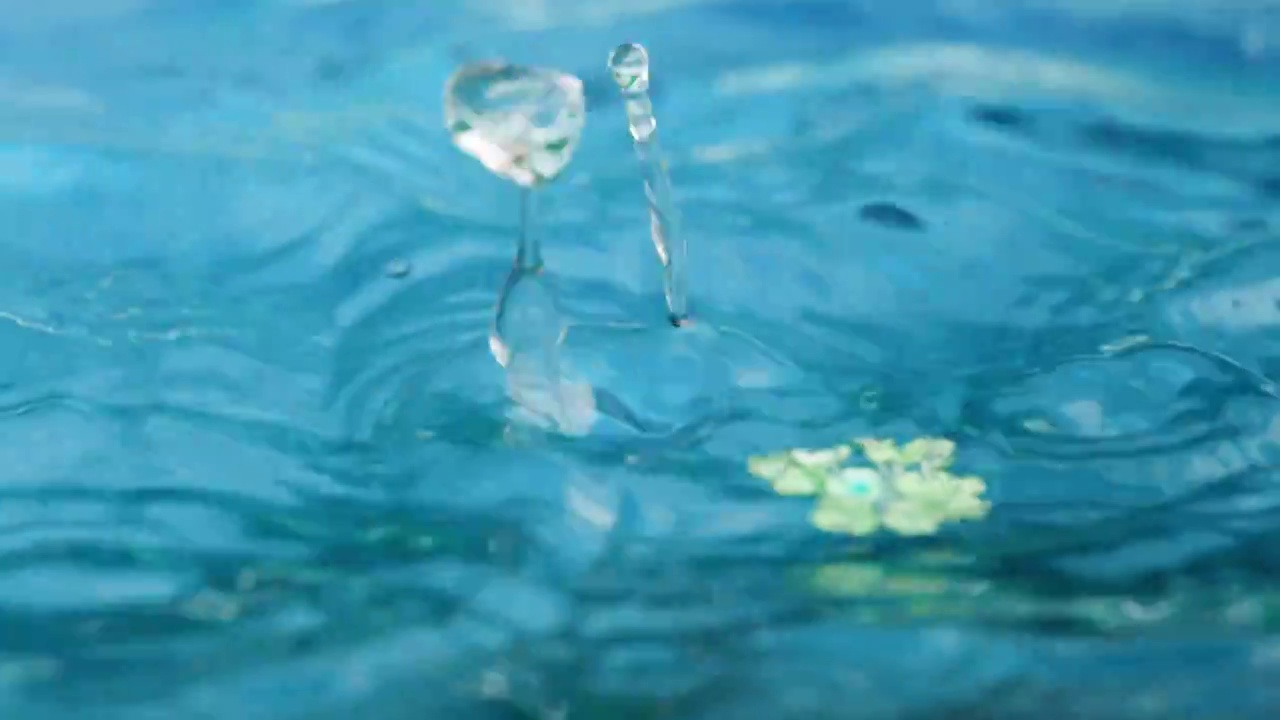 水滴滴落在蓝色的漂浮着花朵的水面上视频购买