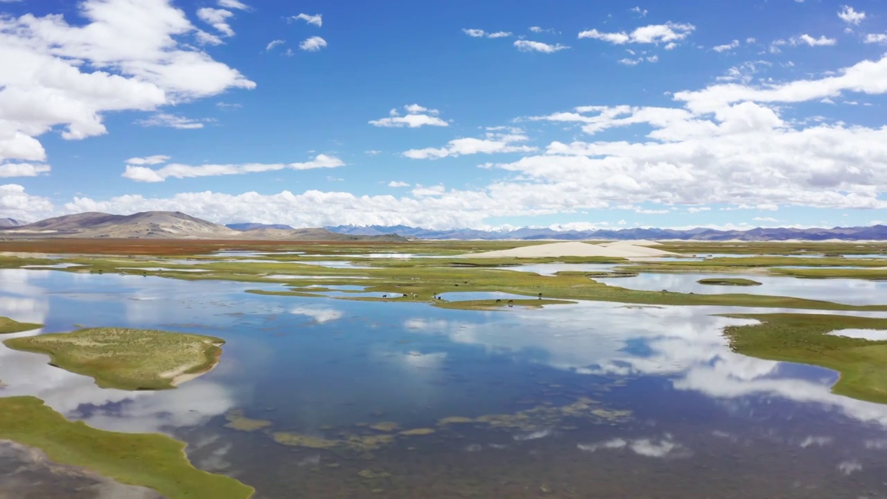 航拍西藏219国道旁的草原湿地视频素材