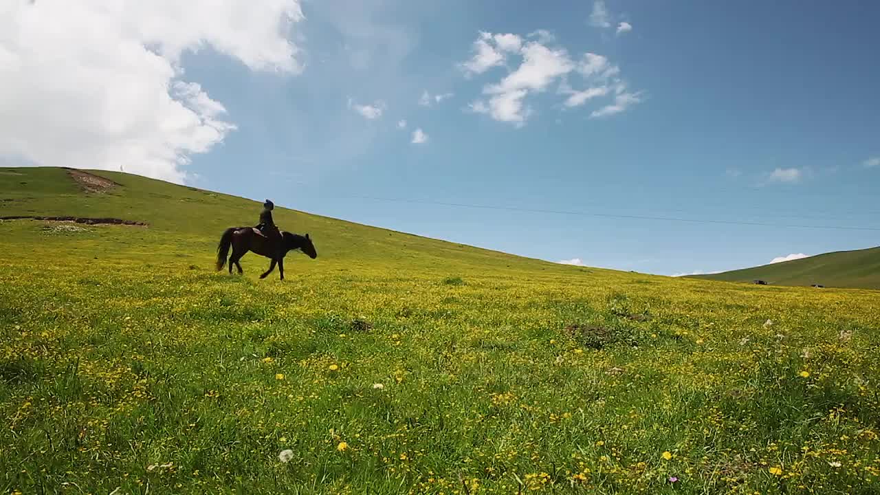 藍天白云草原騎馬視頻素材