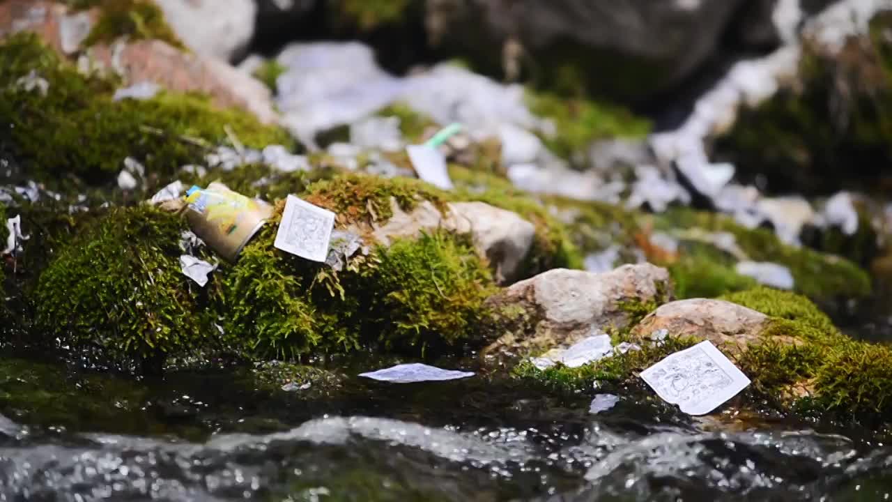 龙达洒落在苔藓的小溪流水中视频下载