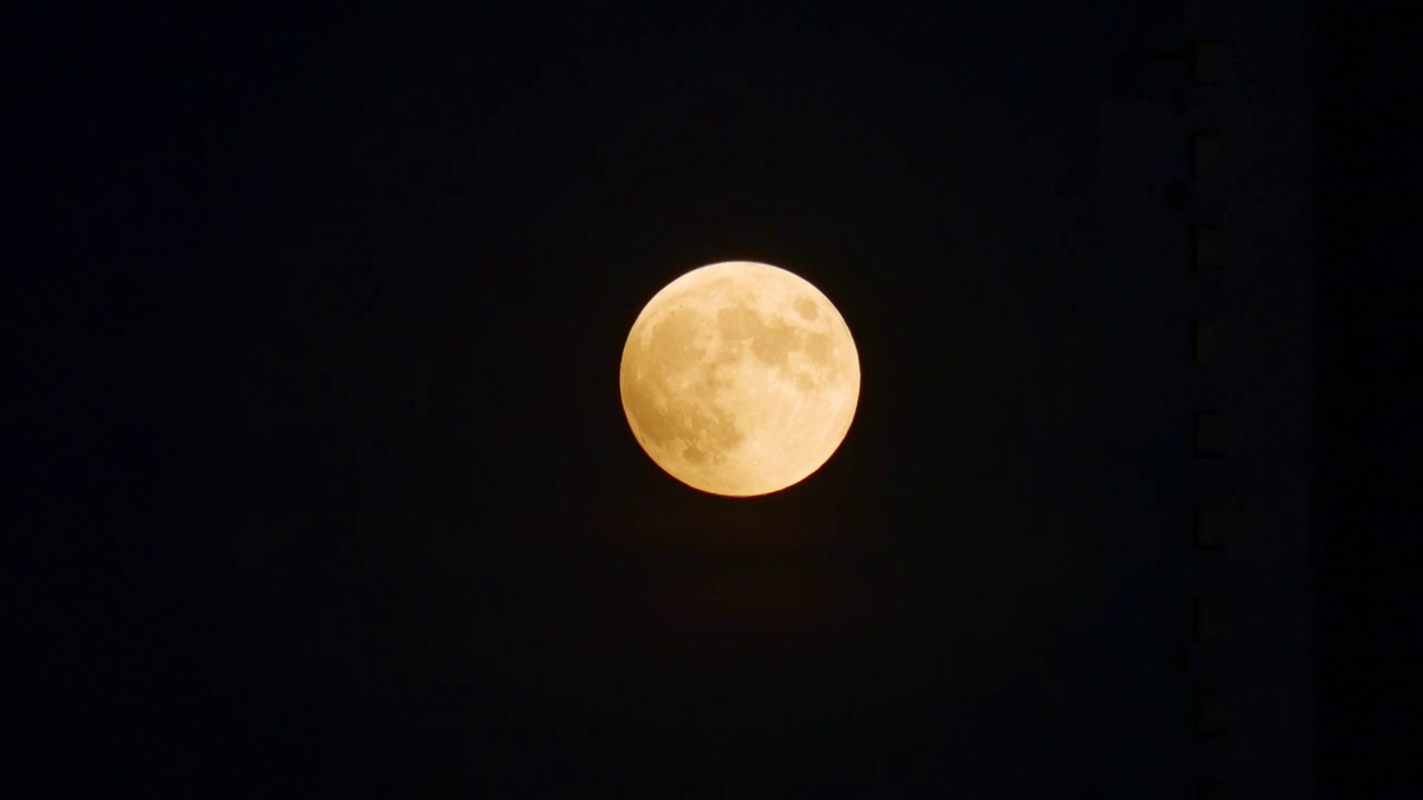 满月  月全食  大月亮  十五的月亮视频素材