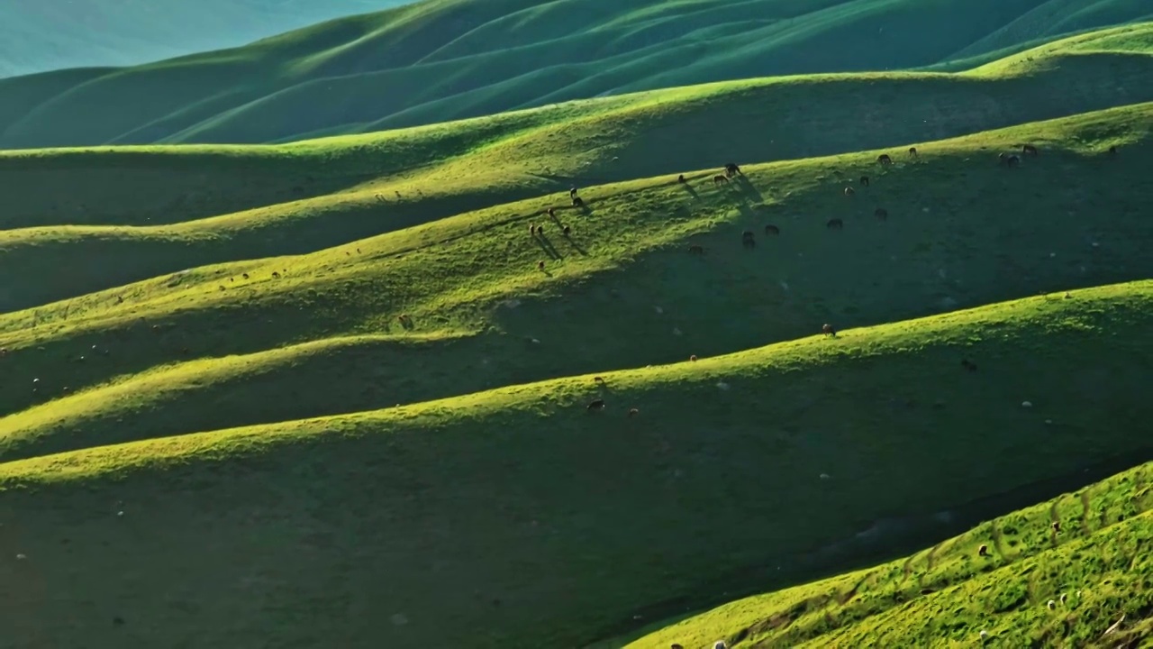 航拍新疆草原美景风景视频素材