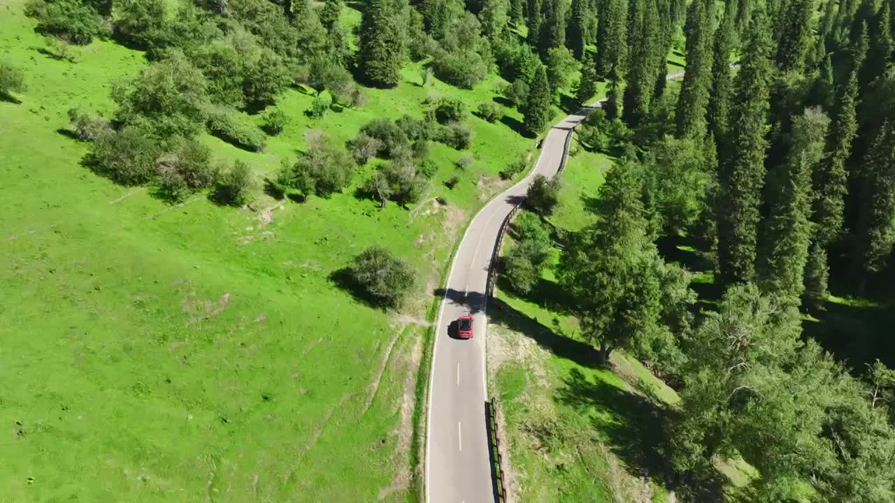 自驾游草原森林汽车航拍视频素材