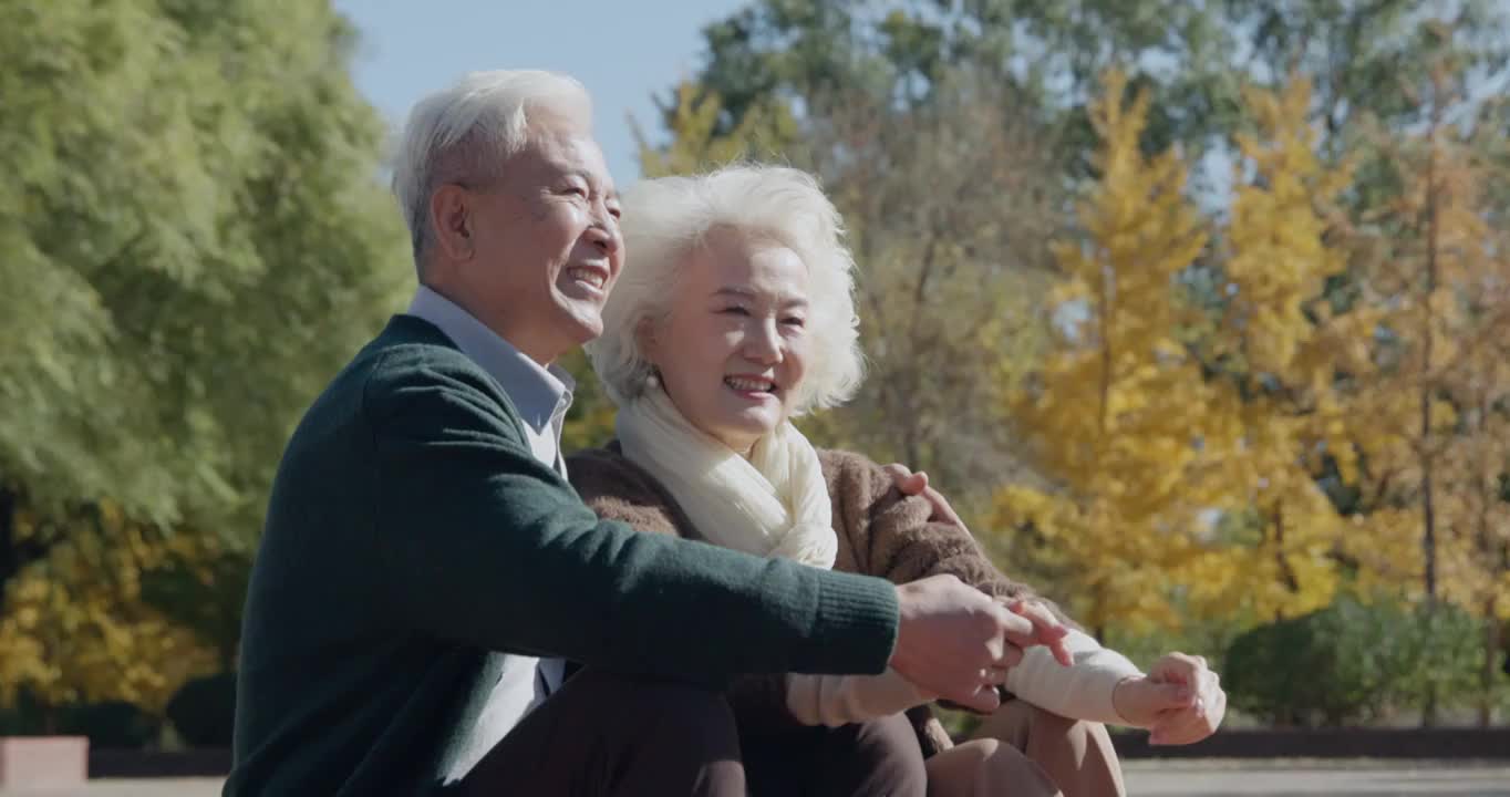 幸福的老年夫妇坐在公园里视频购买