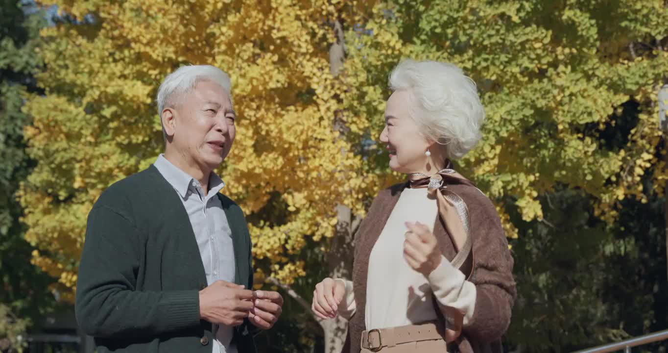幸福的老年夫妇站在公园里视频购买