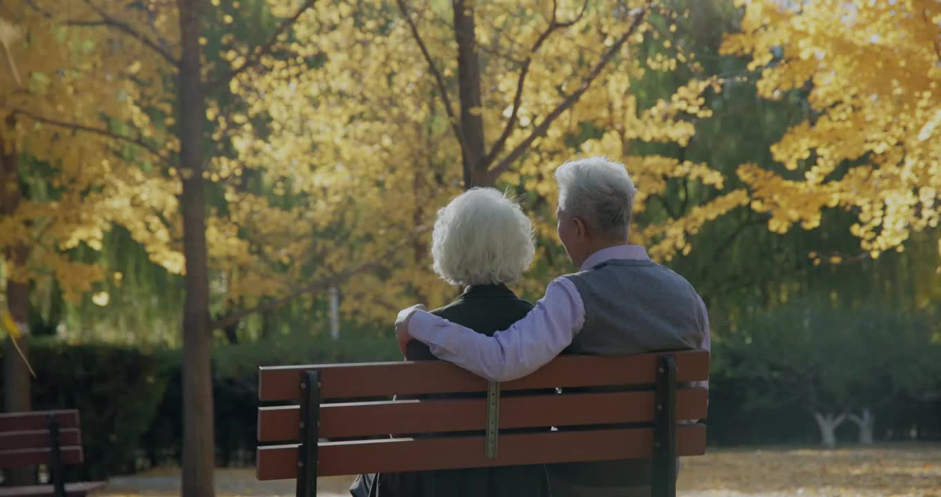 幸福的老年夫妇在公园里看风景视频下载