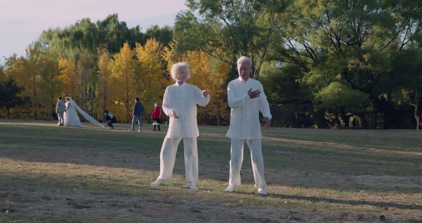 幸福的老年夫妇在公园里练太极拳视频下载