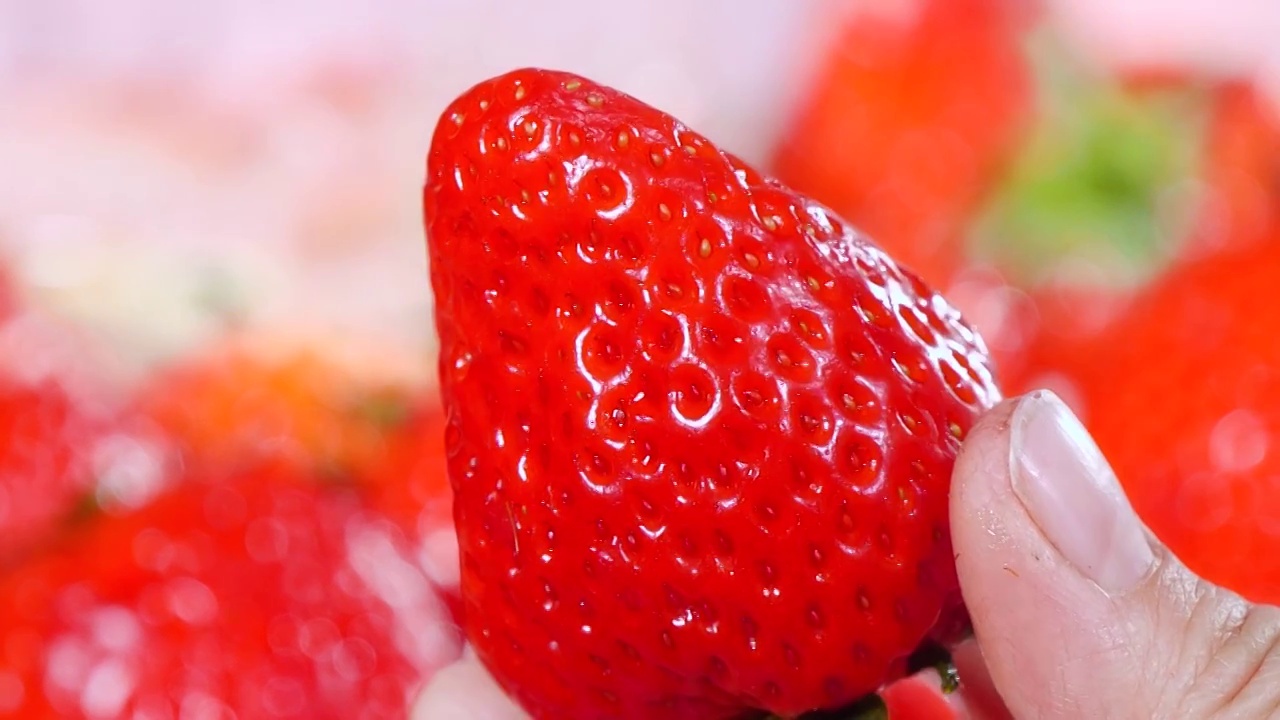 紅顏草莓選編視頻素材