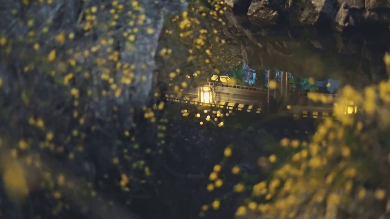 春天幽靜的江南園林夜景燈影反射在水中視頻下載