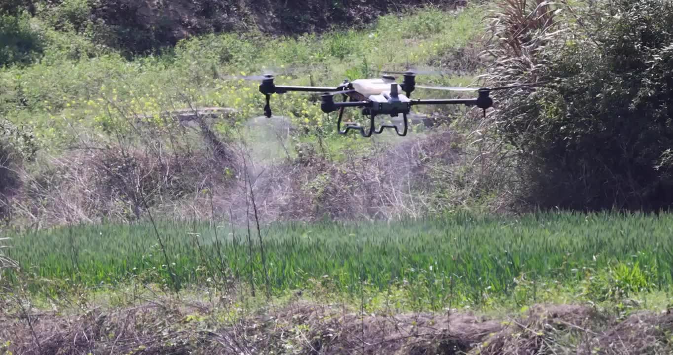植保无人机洒农药作业视频下载