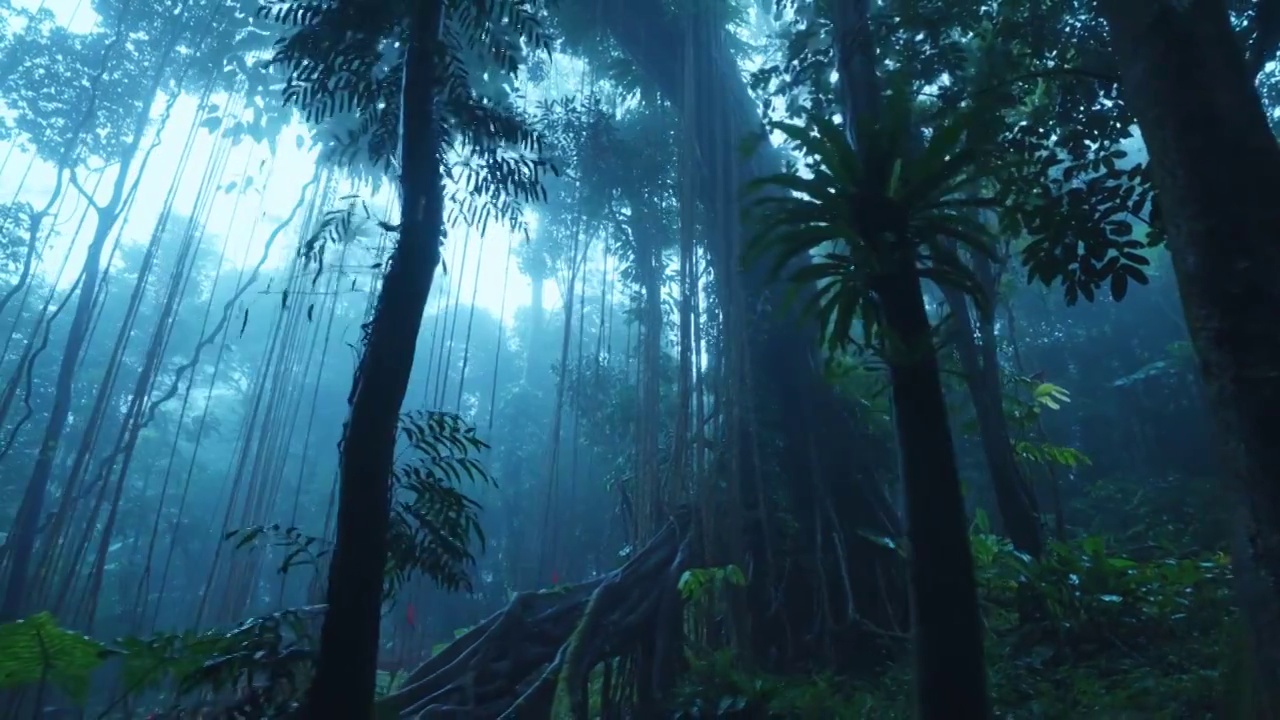 大自然热带雨林风景视频购买