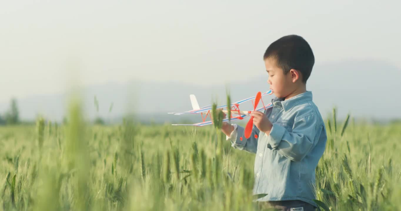 中国小朋友麦田手拂麦穗玩耍视频素材