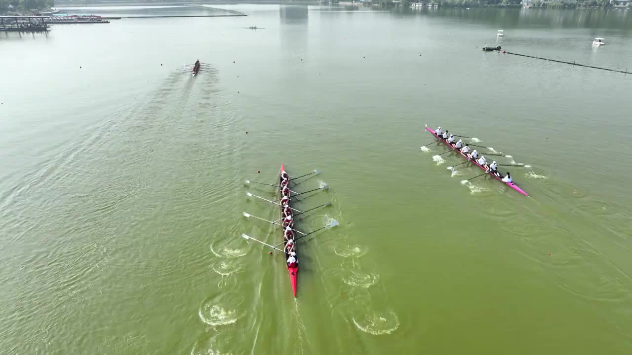 南京玄武湖公园水上运动赛艇比赛，团队合作精神视频下载