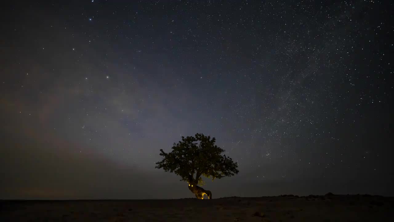 翁牛特旗鹿形树与星空星轨延时摄影视频下载