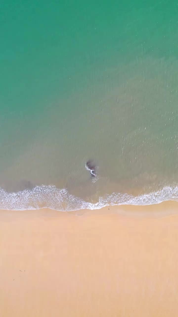 沙滩海浪竖构图视频素材