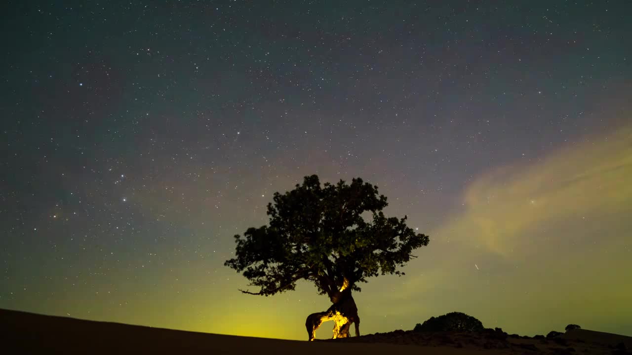 荒漠中一颗古树与璀璨的夜空视频下载