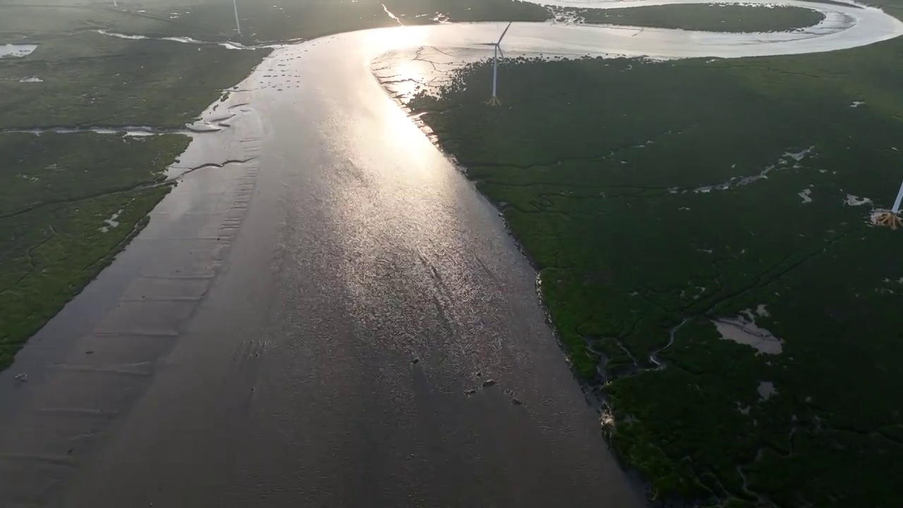盐城东台条子泥湿地 黄海湿地滩涂日落视频下载