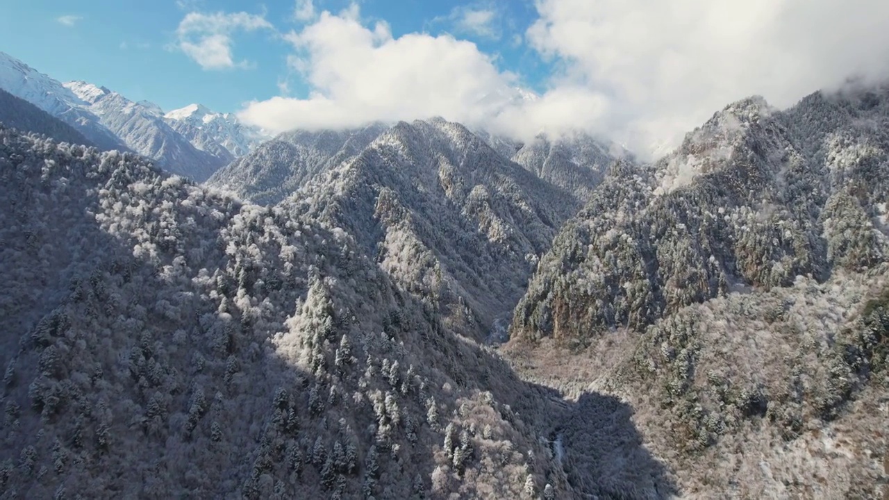 四川阿坝州茂县冬季雪山森林峡谷风光航拍视频购买