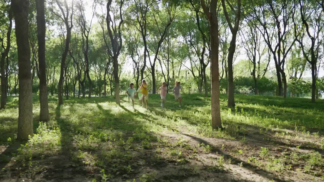 小学生和老师在公园玩耍视频下载