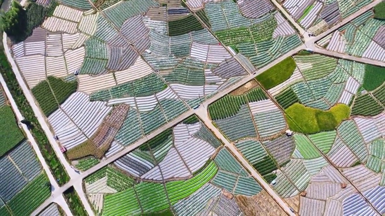 福州现代农业种植基地视频下载