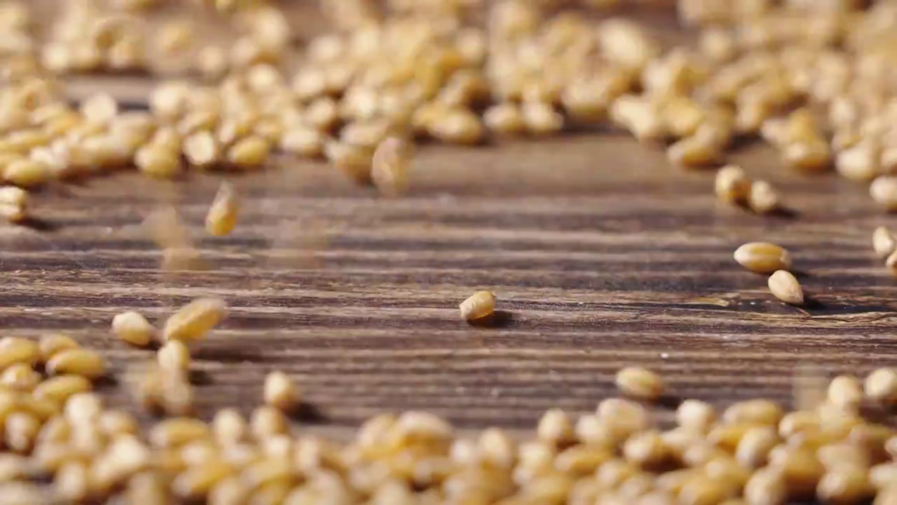 缓慢落下的小麦,粮食收获丰收视频素材