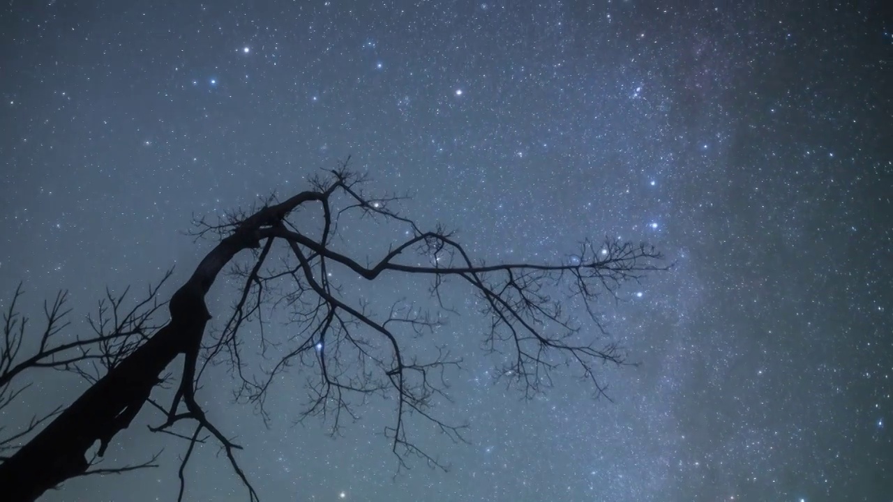 星空延时：宇宙星空树木天空视频素材